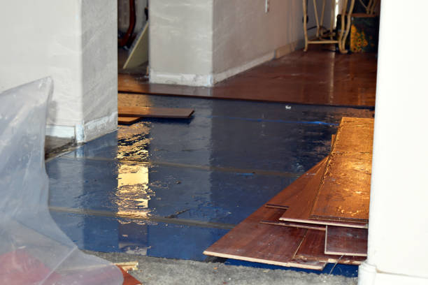 Professional Flood Damage Repair technician working in Meridian, OK